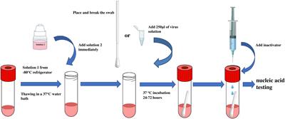 Modified transport medium for improving influenza virus detection